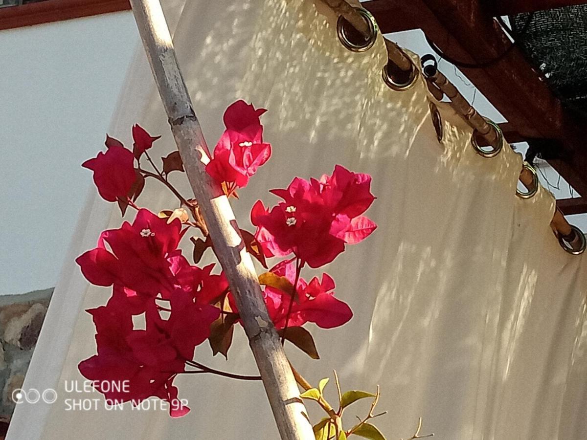 Arcamyrtus Guest House Алгеро Екстериор снимка