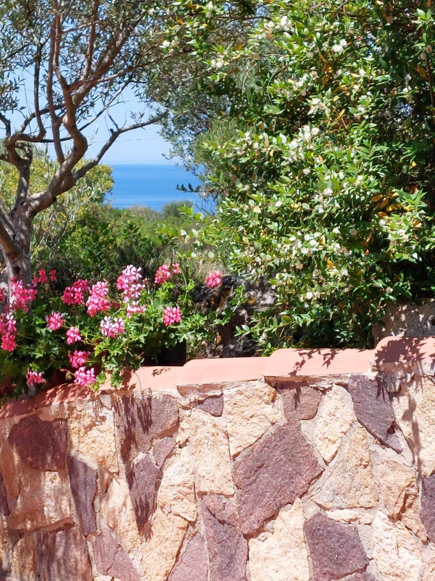 Arcamyrtus Guest House Алгеро Екстериор снимка