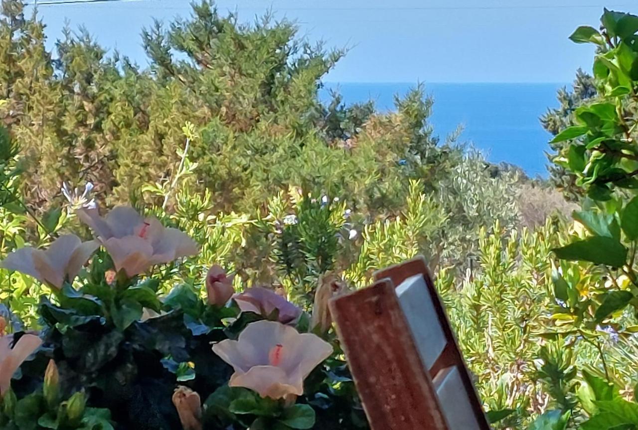 Arcamyrtus Guest House Алгеро Екстериор снимка